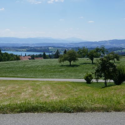 035 Blick auf dem Pfäffikersee